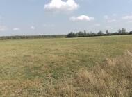 Grajewo ogłoszenia: Wydzierżawię pole. 6 ha. Pieńczykowo/Biebrza gm. Rajgród. - zdjęcie