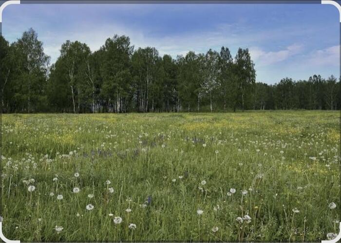 Grajewo ogłoszenia: Sprzedam łakę klasy IV o pow . 2.70ha i las 1ha w Białogrądach...